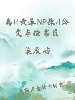 高H黄暴NP辣H公交车检票员