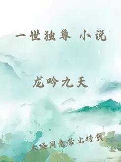 一世独尊 小说