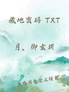 藏地密码 TXT