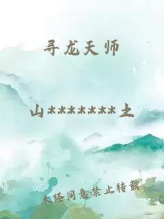 寻龙天师