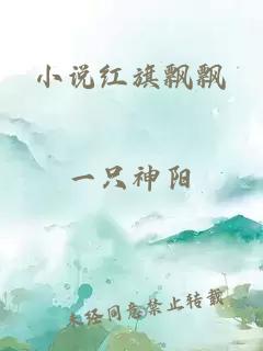 小说红旗飘飘