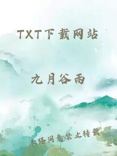 TXT下载网站