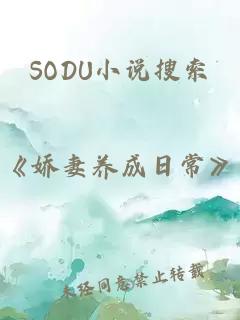 SODU小说搜索