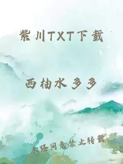 紫川TXT下载