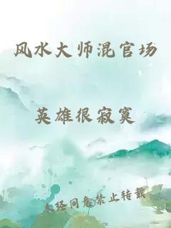 风水大师混官场