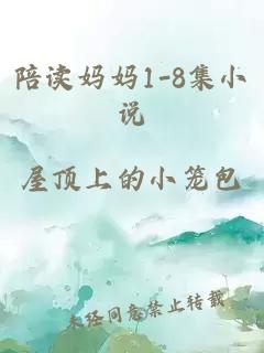 陪读妈妈1-8集小说