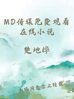 MD传媒免费观看在线小说