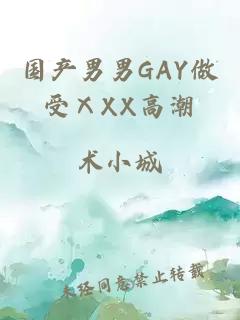 国产男男GAY做受ⅩXX高潮