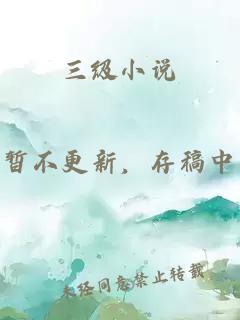 三级小说