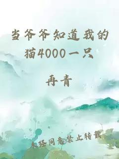 当爷爷知道我的猫4000一只