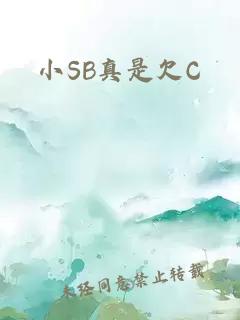 小SB真是欠C