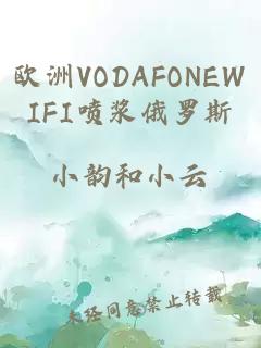 欧洲VODAFONEWIFI喷浆俄罗斯