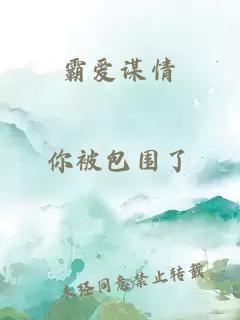 霸爱谋情