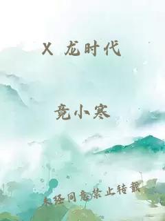 X 龙时代