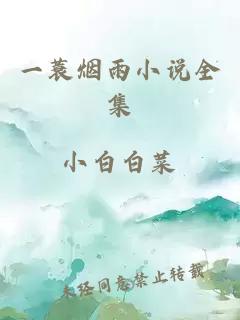 一蓑烟雨小说全集