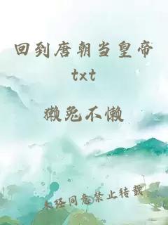 回到唐朝当皇帝txt