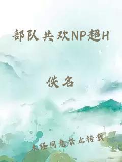 部队共欢NP超H