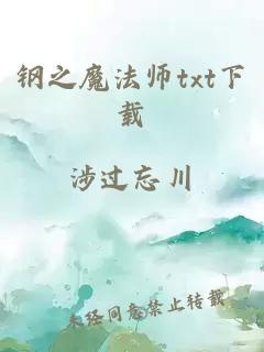 钢之魔法师txt下载