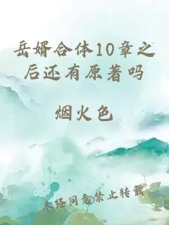 岳婿合体10章之后还有原著吗