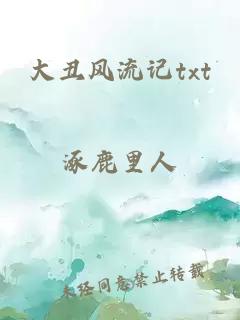 大丑风流记txt