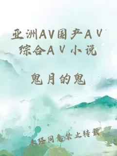 亚洲AV国产AⅤ综合AⅤ小说