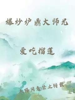 爆炒炉鼎大师兄