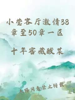 小莹客厅激情38章至50章一区