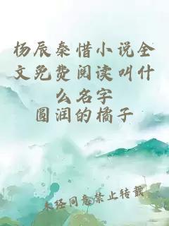 杨辰秦惜小说全文免费阅读叫什么名字