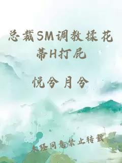 总裁SM调教揉花蒂H打屁