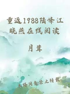 重返1988陆峰江晓燕在线阅读