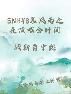 SNH48暴风雨之夜演唱会时间