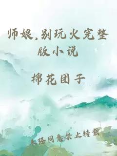 师娘,别玩火完整版小说