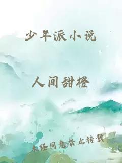 少年派小说