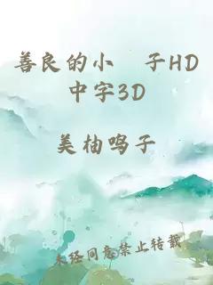 善良的小峓子HD中字3D