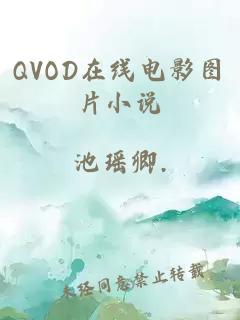 QVOD在线电影图片小说