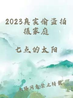 2023真实偷盗拍摄家庭