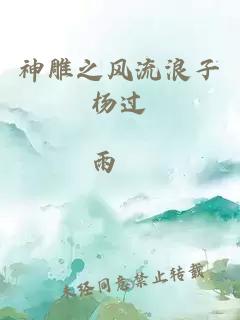 神雕之风流浪子杨过