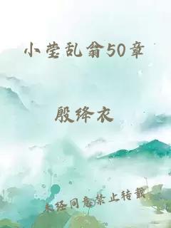 小莹乱翁50章