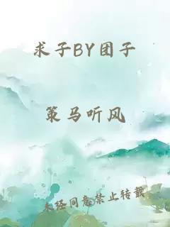 求子BY团子