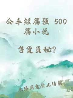 公车短篇强 500篇小说