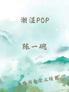 潮湿POP