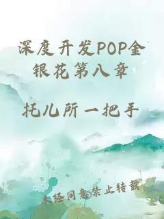 深度开发POP金银花第八章