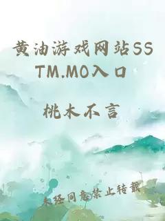 黄油游戏网站SSTM.MO入口