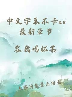 中文字幕不卡av最新章节