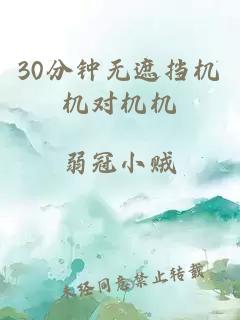 30分钟无遮挡机机对机机