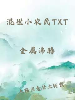 混世小农民TXT