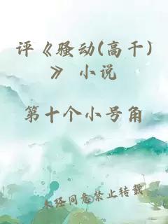 评《骚动(高干)》 小说