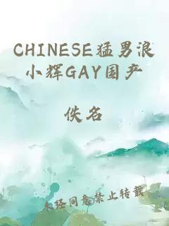 CHINESE猛男浪小辉GAY国产