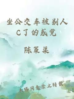 坐公交车被别人C了的感觉