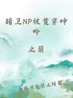 暗卫NP被贯穿呻吟